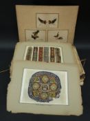 A quantity of ephemera including Moreau Art Deco sculpture books, cock fighting pictures etc.