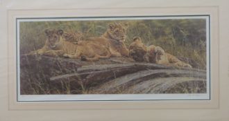 Alan M Hunt signed limited edition print 72/950 untitled but lions and cubs at rest 33x81cm