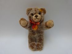Steiff Original 'Molly' 019500 teddy bear, with light brown fur, button to ear and tags,