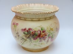 Royal Worcester blush ivory jardiniere,