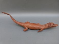 Two taxidermy caiman