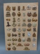 A collection of 50 British army collar badges including Sussex, Somerset Yeomanry, Cornwall,