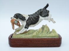Royal Worcester Springer Spaniel from the Sporting Dogs series by Doris Lindner,
