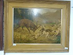 An oleograph print of a stag and hounds in ornate gilt frame, 48x66cm.