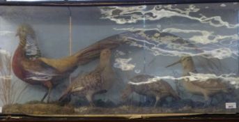 A taxidermy study bird group comprising a golden pheasant, partridge and a woodcock, in glazed case,