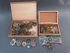 A collection of 50 British army cap badges together with a collection of lapel badges and buttons