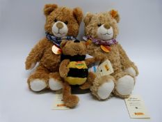 Three Steiff teddy bears Beecosy 110870,