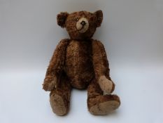 Steiff teddy bear with cinnamon coloured mohair, cocked wrists and feet, hump back,