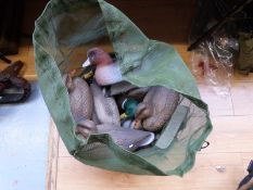Fourteen Widgeon and Mallard duck decoys including a mother line kit.