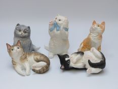 Five Royal Worcester kittens comprising Ginger, Black and White, Tabby,