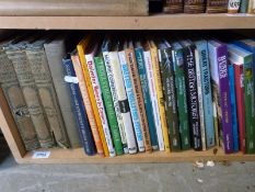 A quantity of bus, car,