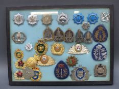 Two displays of all-world police insignia and badges including enamel, Canadian, Swiss,