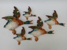 A set of five Beswick duck wall plaques