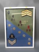 Royal Ulster Constabulary police badges and insignia mounted on a display