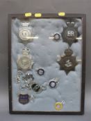 A display of police helmet plates and badges including Hertfordshire, Staffordshire County, Kent,