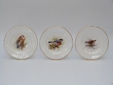 Three Royal Worcester plates hand decorated with birds (12.