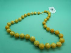An amber necklace made up of graduated spherical beads, 97g.