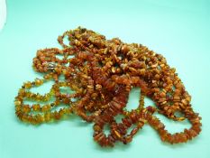 Seven amber necklaces made up of irregular shaped translucent and opaque pieces