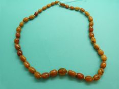 An amber necklace made up of graduated ovel butterscotch coloured beads, 22g.