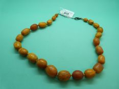 An amber necklace made up of egg yolk coloured graduated oval beads, 89g.