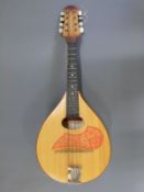 A flat back mandolin,