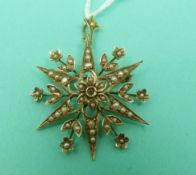 A 9ct gold Edwardian brooch set with seed pearls as a floral star design, 3g.