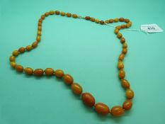 An amber necklace made up of egg yolk coloured graduated oval beads, 42g.