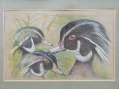 Frances E Meigh pastel of wildfowl signed and dated 1971,
