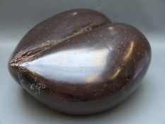 A vintage Coco de Mer seed pod