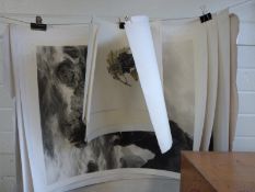 A collection of etchings to include Peter Graham signed examples,