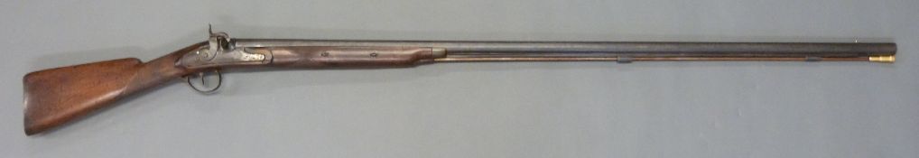 Unnamed 10 bore percussion hammer action gun with engraved lock, hammer,