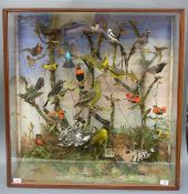 A Victorian cased taxidermy study of birds from Central and West Africa, with H.J.