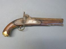 Percussion hammer action light Dragoon pistol with line engraved lock and hammer,