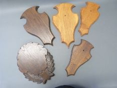 Five shaped wooden shields for taxidermy mounts
