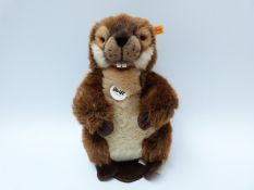 A Steiff original beaver 'Nagy Biber'