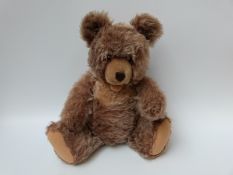 Steiff Zotty Teddy Bear with cinnamon mohair body, blonde mohair chest, shaved snout, open mouth,