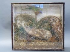 A 19thC/20thC cased taxidermy study of two owls and a parrot,
