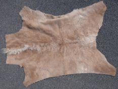 Four antelope skins/hides