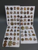 Seventy-six military cap badges, mostly original, to include Worcestershire, RAOC, Suffolk,
