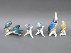 Five larger Karl Ens birds including a parrot and a pair of kingfishers