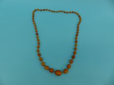 A Baltic amber necklace of 54 graduated egg yolk coloured beads,