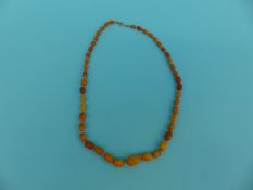 An amber necklace of graduated beads,