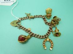 A 9ct gold charm bracelet with six 9ct gold charms including a lizard, horse shoe,