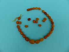 An amber necklace of transparent and opaque beads,