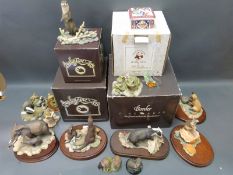 A collection of Border Fine Arts figures, some boxed includes Endangered Species, otters,