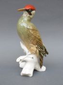 Karl Ens model of a green woodpecker