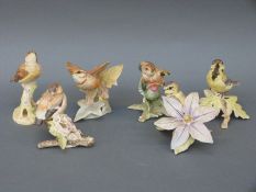 A set of six Royal Worcester bird figures from the 'Fledgling' series