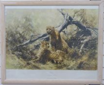 David Shepherd (1931 - 2017) print 'Cheetahs',