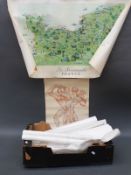 A quantity of decorative posters to include Edwardian Glamour, animals, French travel,