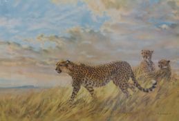 Donald Grant signed print 'Alert' cheetahs in an African landscape,